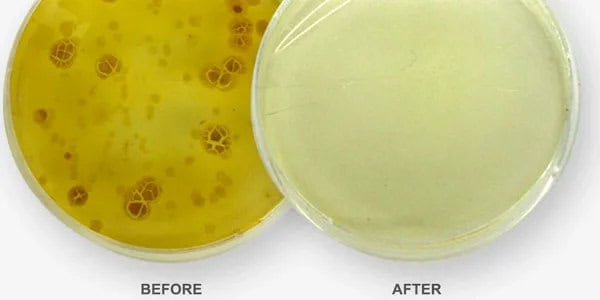 Antiviral Sanitization Services