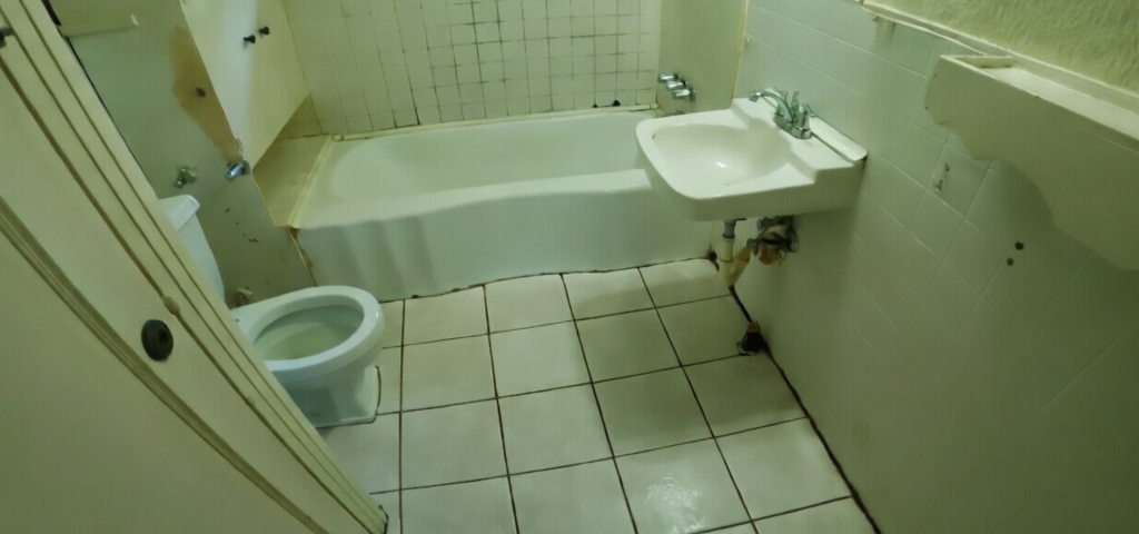Https Spacecitysanitizers.com Blog Post Why Sanitation Is More Important 1