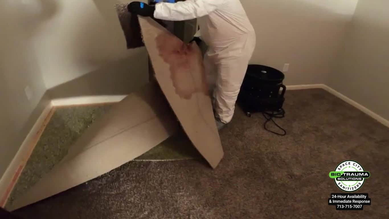 Crime Scene Cleanup