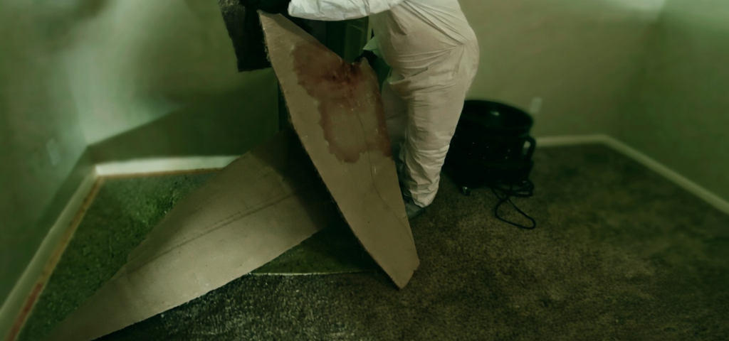 Bio Carpet Removal