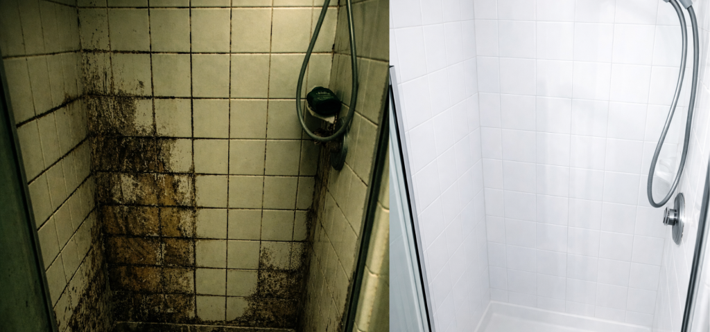 Bathroom shower mold growth on tile and grout