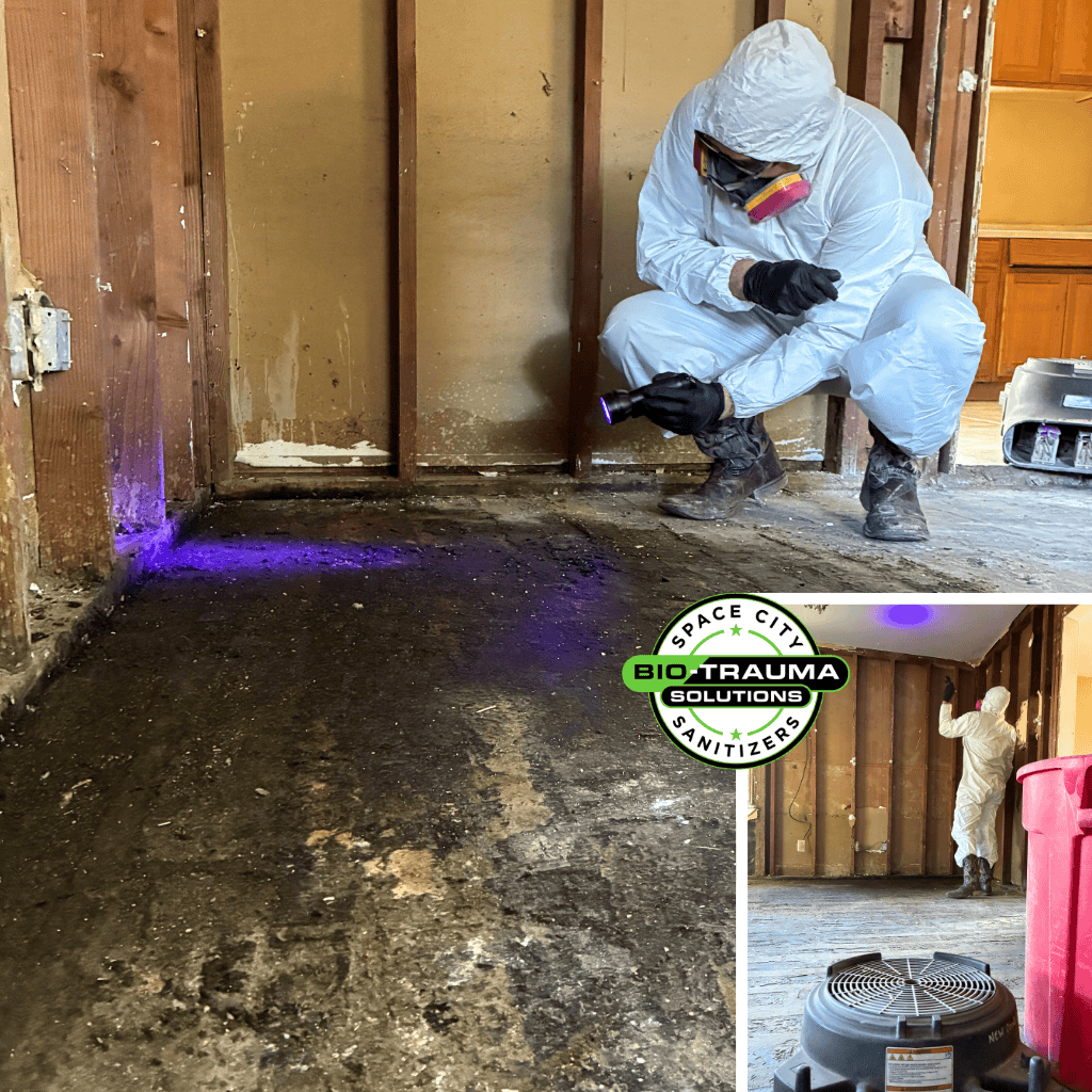 Biotrauma Cleanup Services