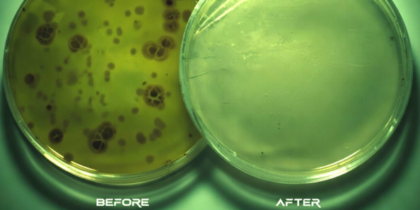 Anti-Microbial Fogging 3 EPA-registered fogging treatment for virus and bacteria control